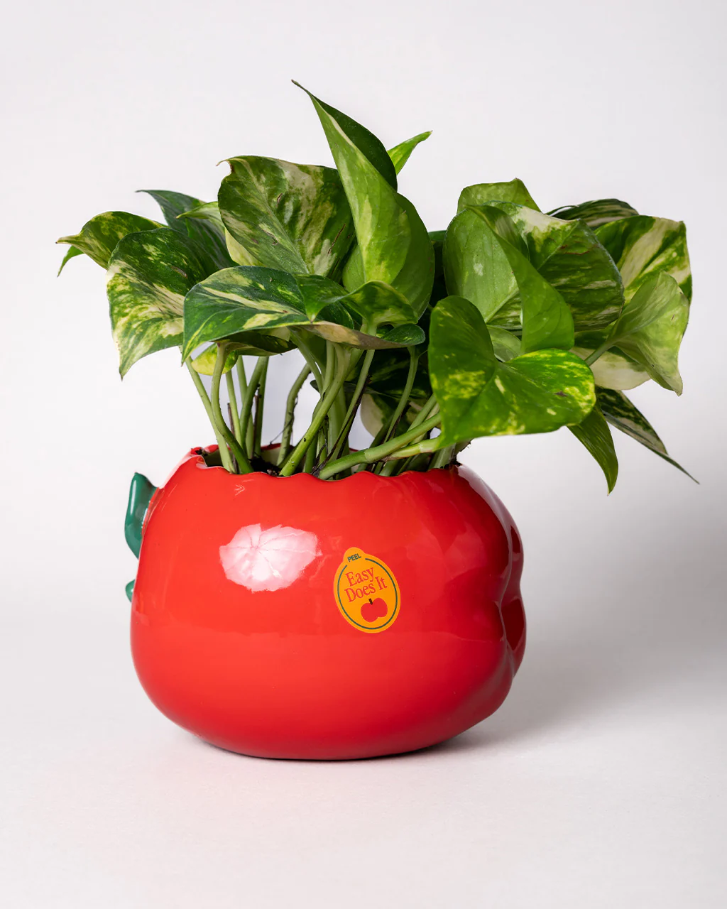 Apple Planter