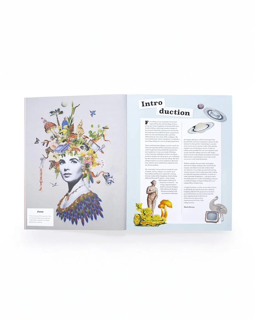 Extraordinary Things to Cut Out and Collage Book