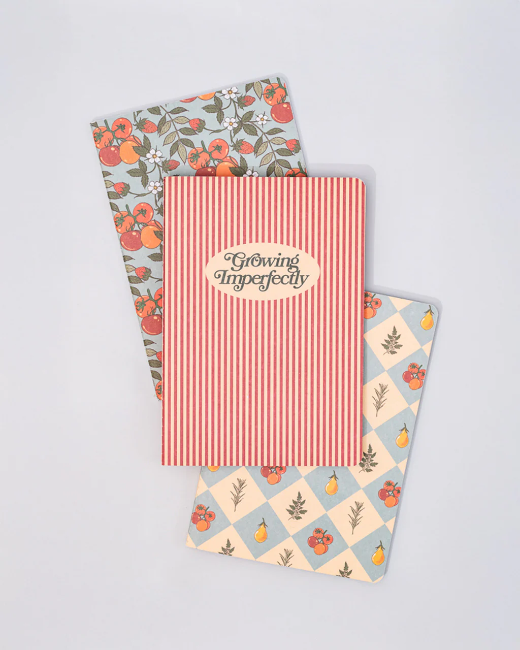 Hold That Thought Notebook Set - Growing Imperfectly