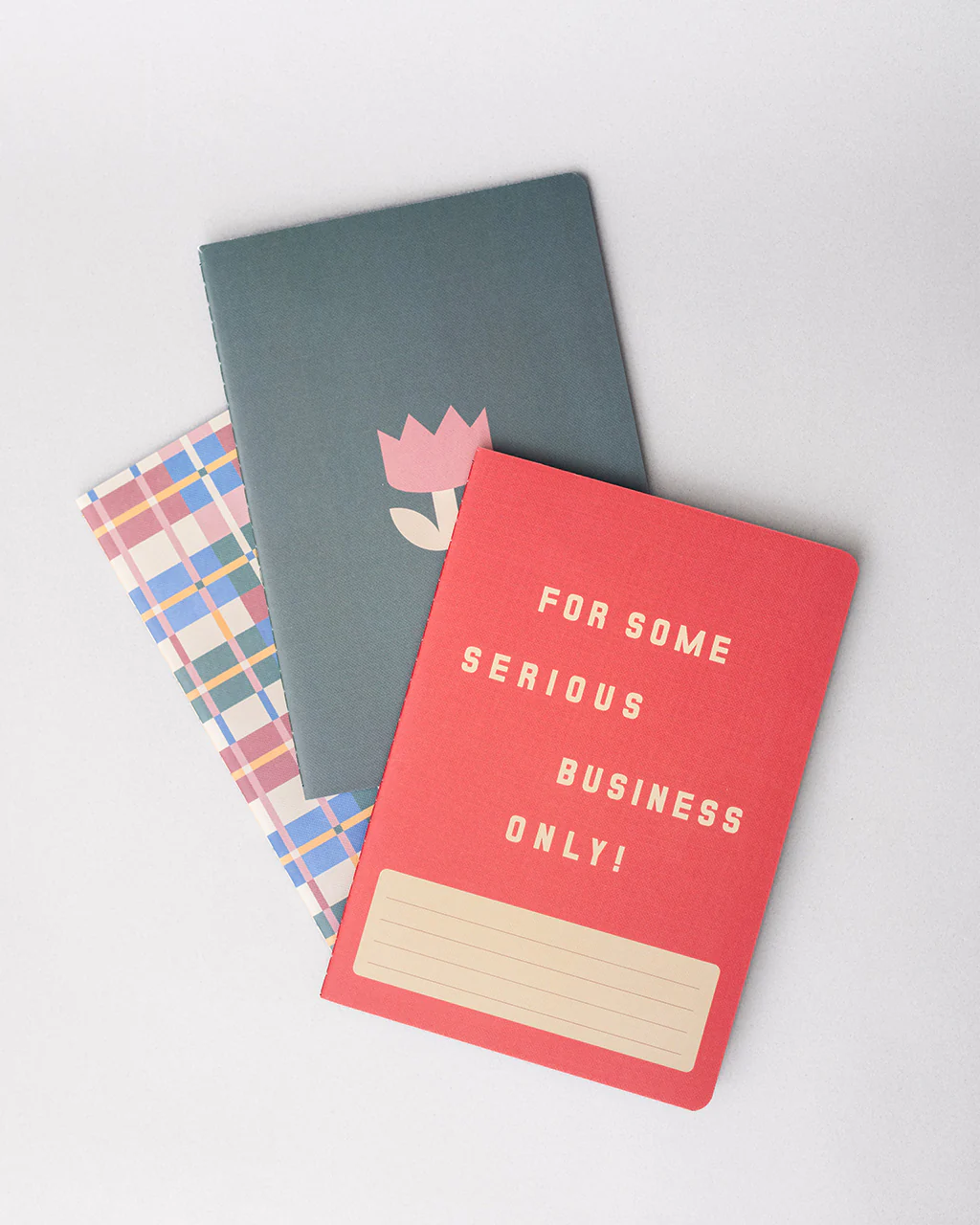 Hold That Thought Notebook Set - Serious Business Only