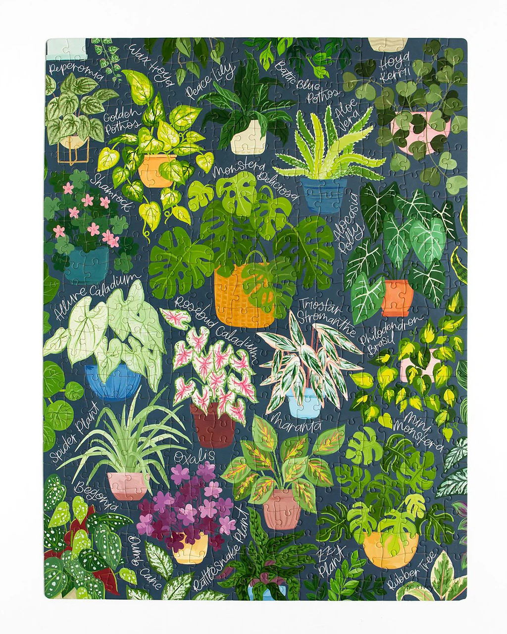 Houseplant Jungle Puzzle