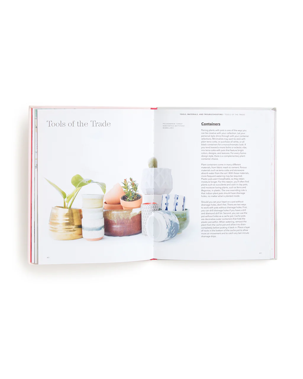 How to Raise a Plant and Make It Love You Back