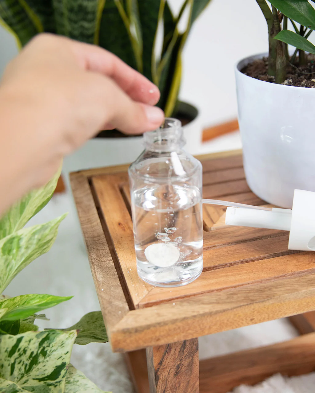 Instant Plant Protection - Natural Houseplant Pest Control Tablets