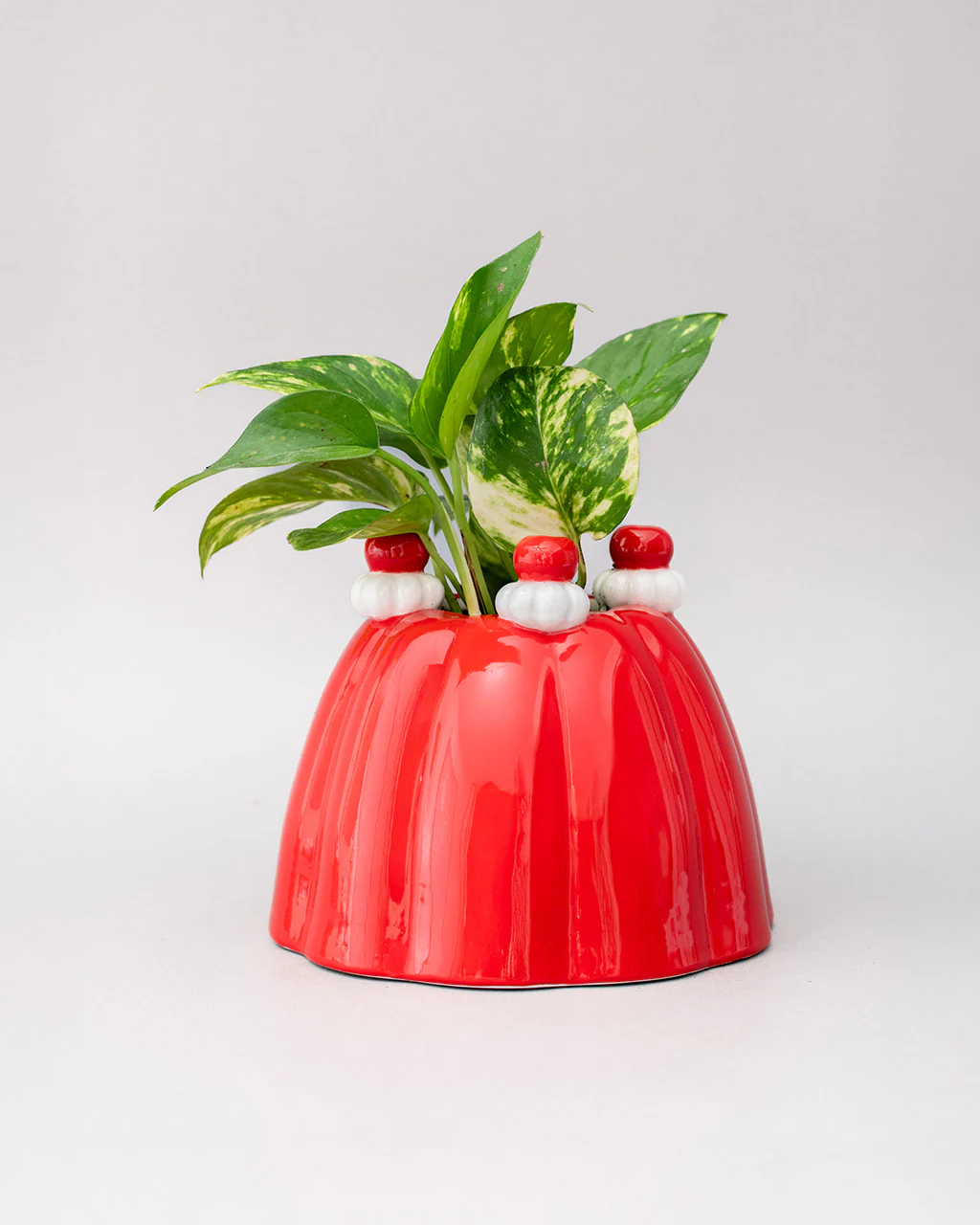 Jelly Dessert Vase