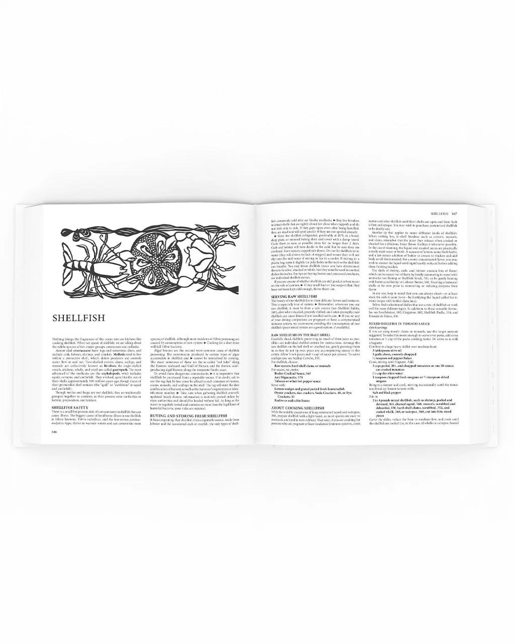 2604-joy-of-cooking-book-1.webp
