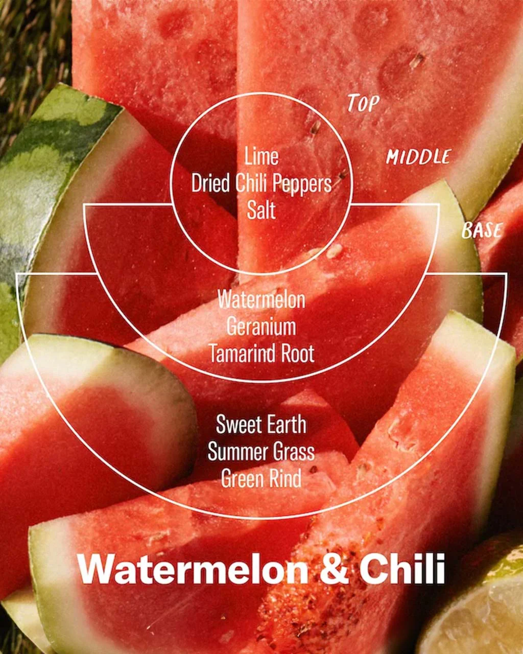 Large Concentrated Candle - Watermelon & Chili