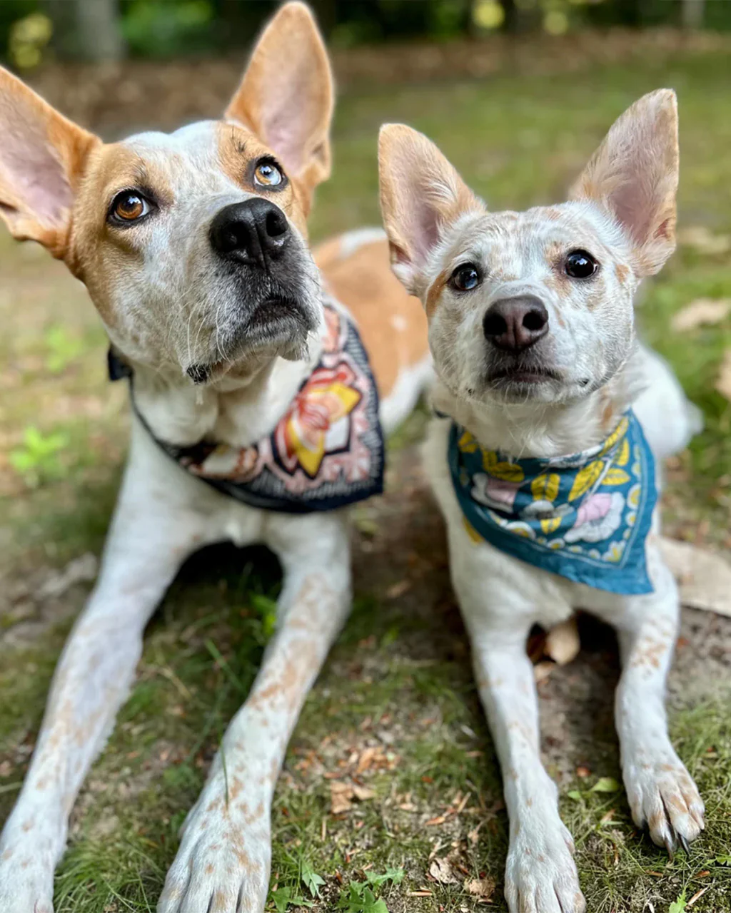 290-no-039-elsie-bandana-1.webp