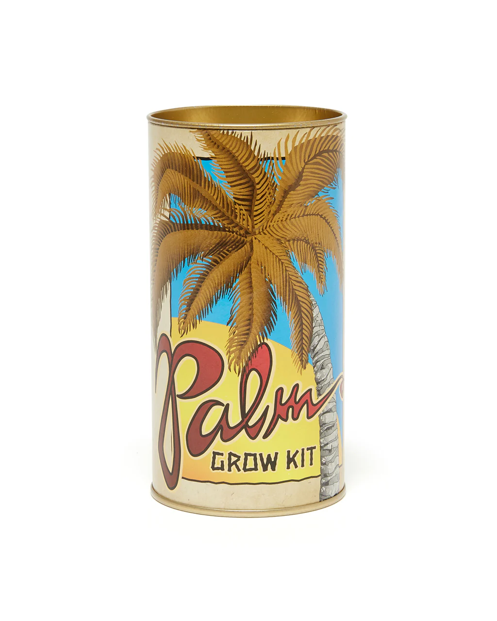 Palm Tree - Seed Grow Kit - Royal Palm