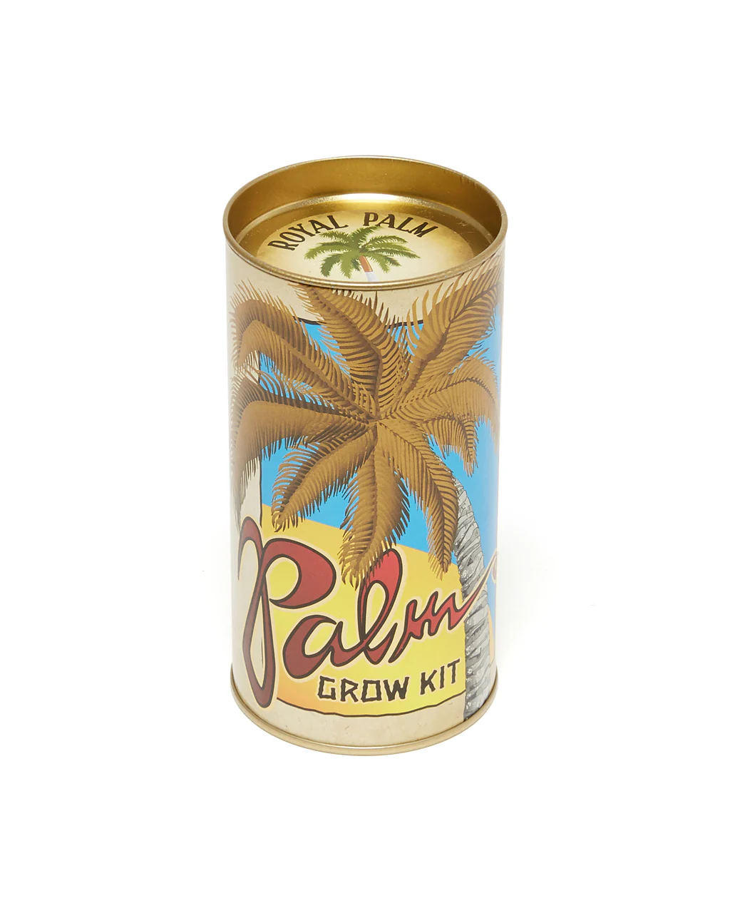 Palm Tree - Seed Grow Kit - Royal Palm