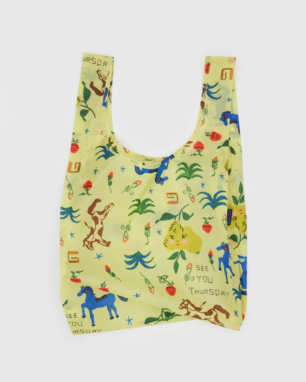Standard Baggu - Painted Prairie