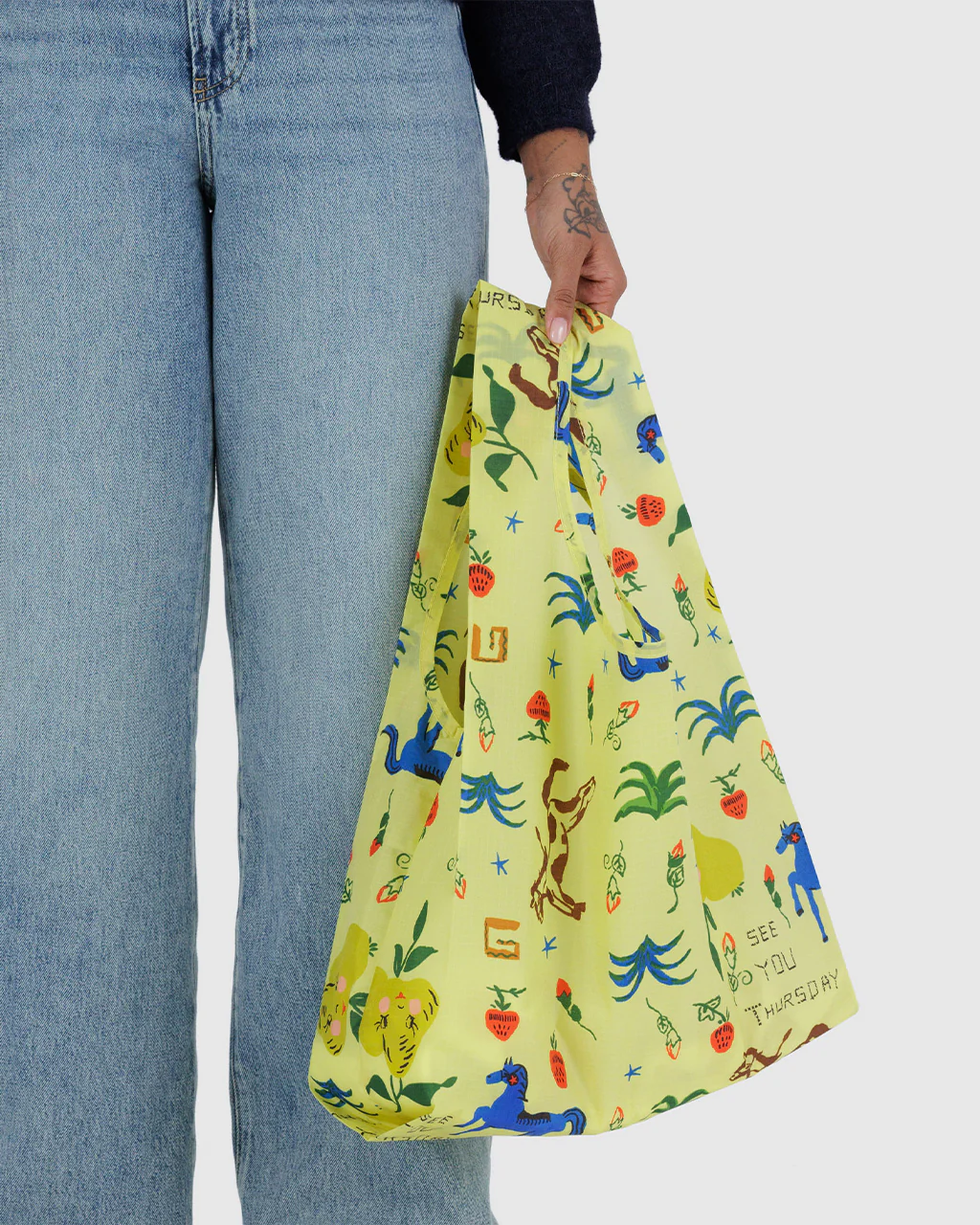 Standard Baggu - Painted Prairie