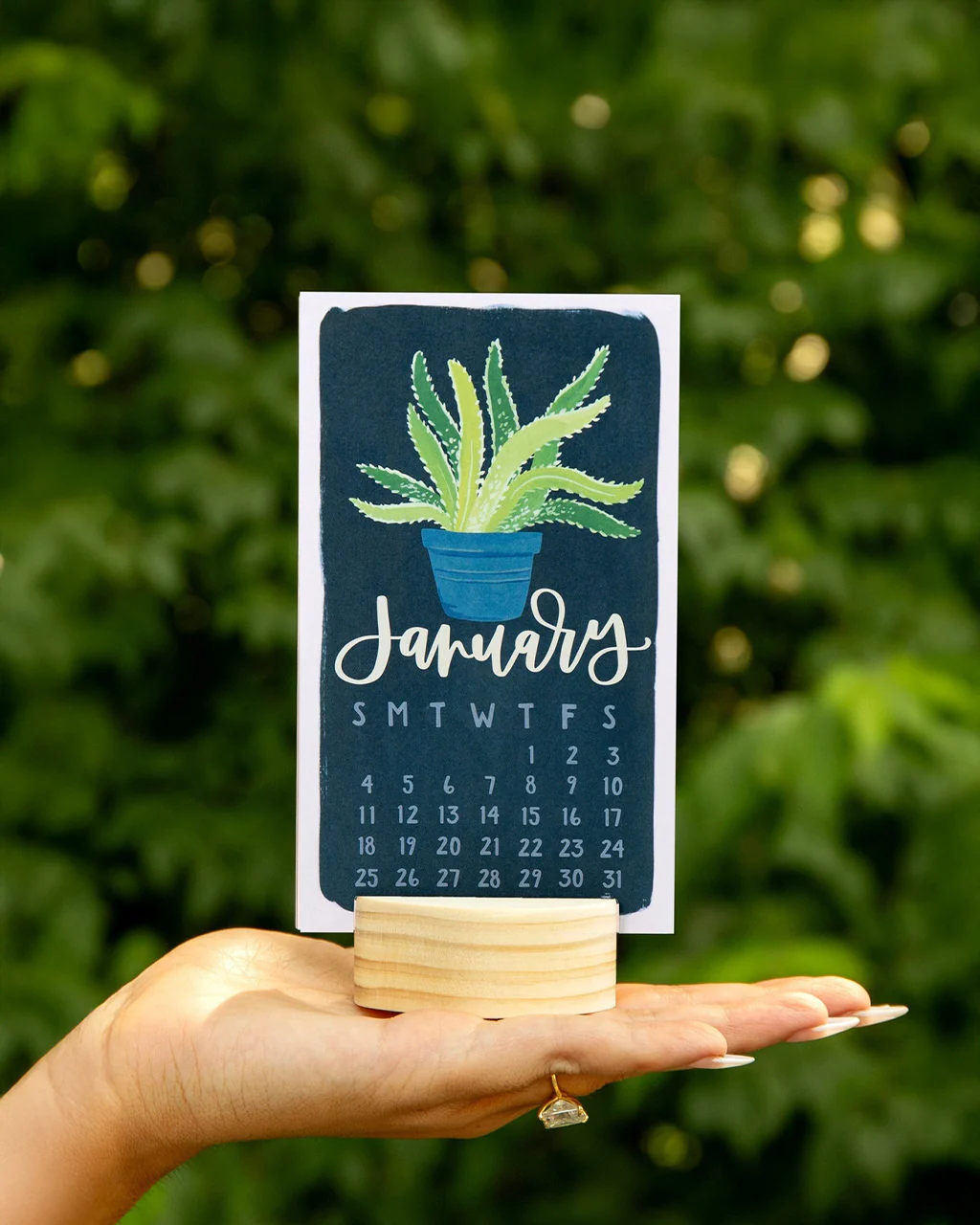 Potted Plants 2026 Mini Desk Calendar