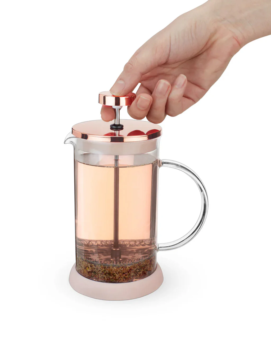 3421-riley-mini-glass-tea-press-pot-1.webp