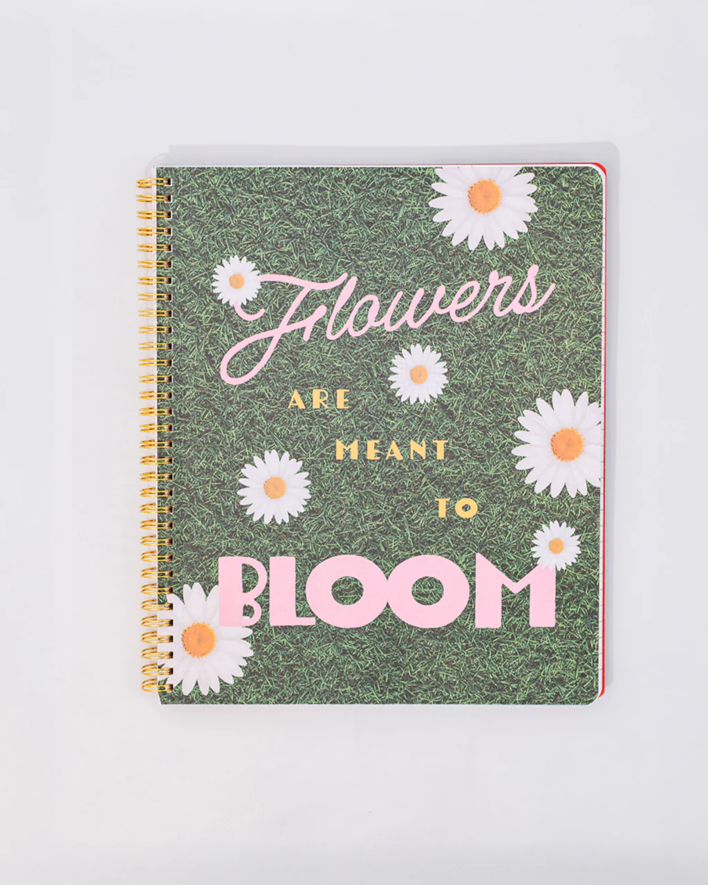 3460-rough-draft-large-notebook-floral-stripe-1.webp