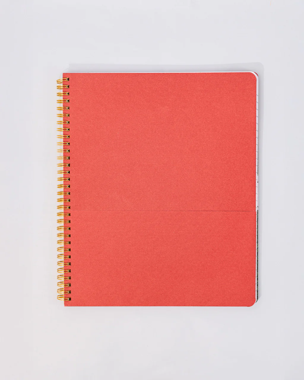 3460-rough-draft-large-notebook-floral-stripe-1.webp