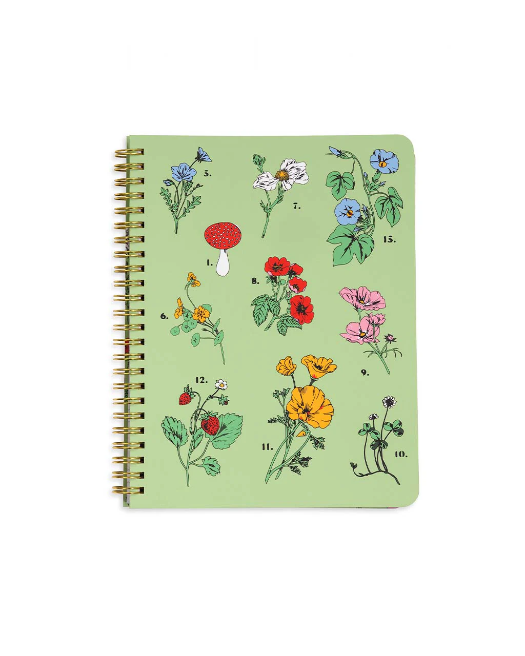 3473-rough-draft-mini-notebook-botanical-green-1.webp