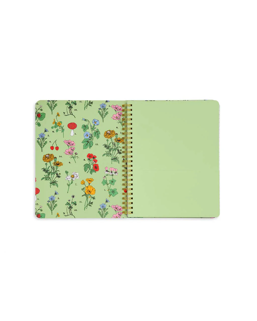 3473-rough-draft-mini-notebook-botanical-green-1.webp