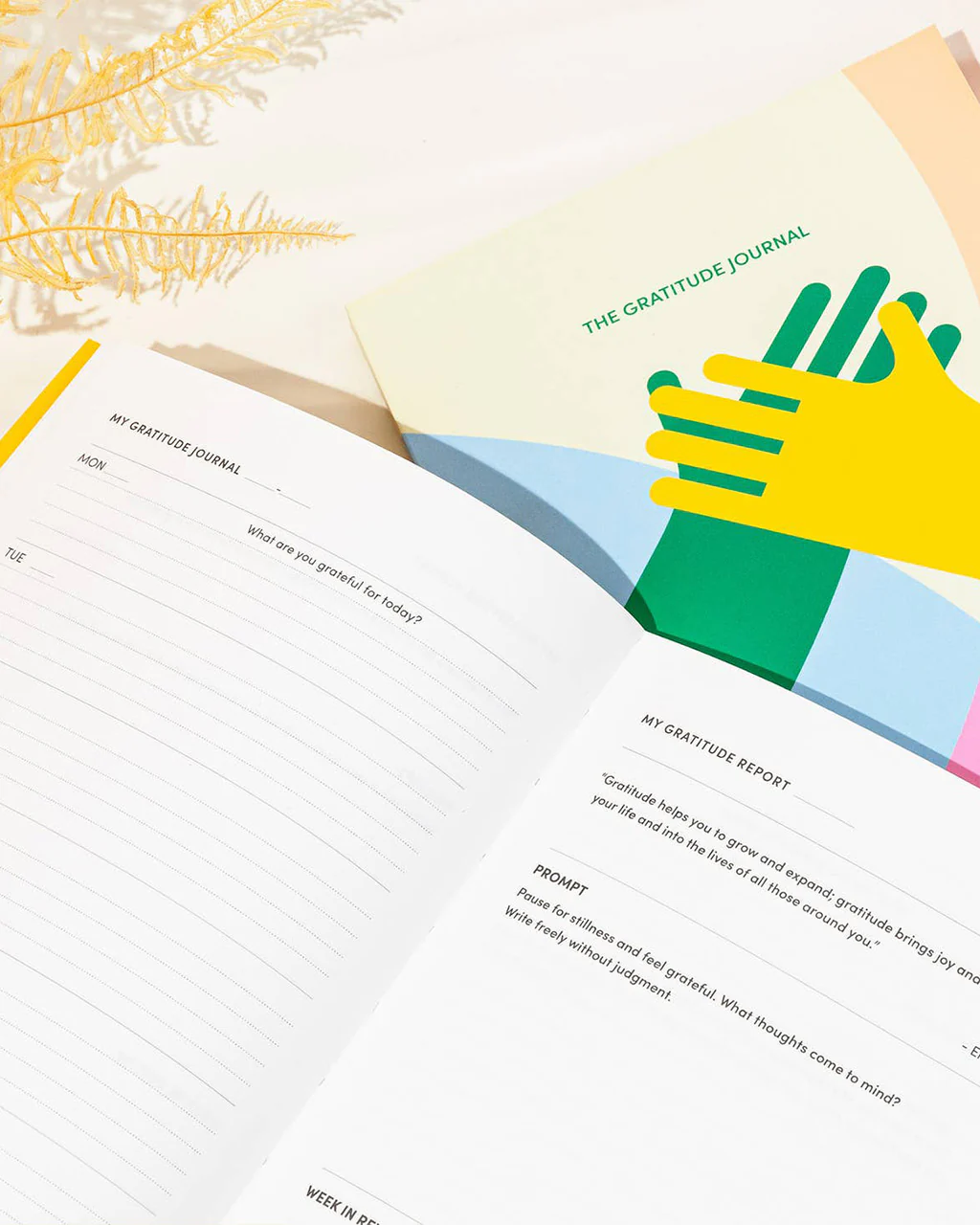 The Gratitude Journal