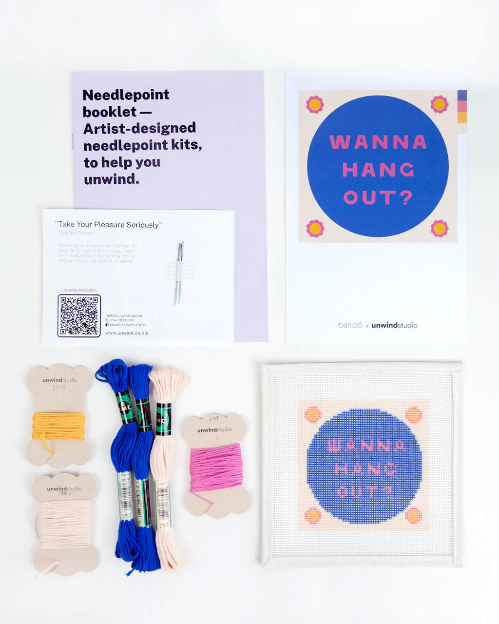 Wanna Hang Out? Needlepoint Kit